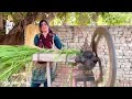 Aliza Shar Funny Video Please Subscribe Short Shortsfeed Shortsvideo 2023 Shortvideo