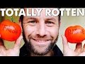 Kirk Cameron vs. ROTTEN TOMATOES - YouTube