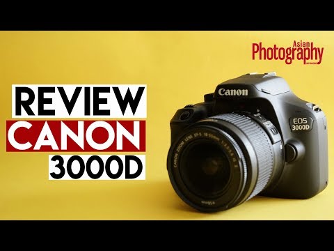 Canon EOS 3000D Review: Should you buy it?