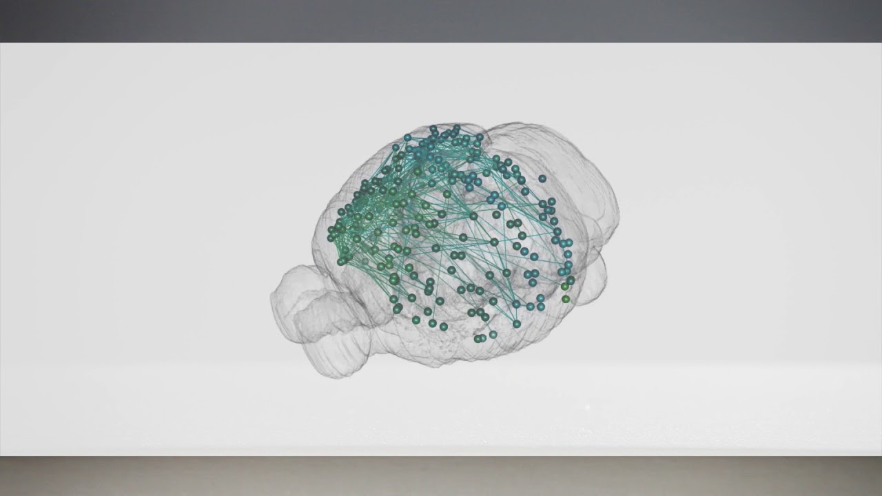 Revolutionary brain mapping: hundreds of neurons tracked in a week