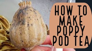 How to Make Poppy Pod Tea