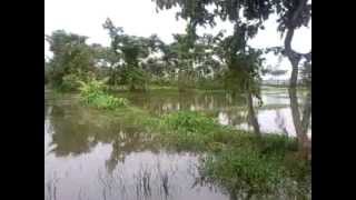 preview picture of video 'My village. Mero Gow Biswanath Bangladesh.'