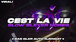 Download lagu DJ CEST LA VIE - SLOW BLEYER HOREG | BAS GLER AUTO NJENGAT | CENTRAL JAVANESIA mp3