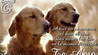 TODO ME GUSTA DE TI - LOS CAMINANTES