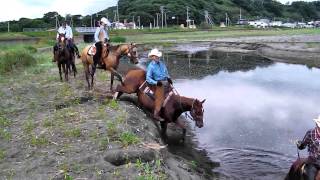 preview picture of video 'Horse Trail in Abashiri Hokkaido Japan Summer Ver. -No Name Ranch-'