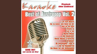 Reif Für Die Insel (InstrumentalVersion)