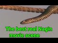 The Best Scene Of Movie Nagin