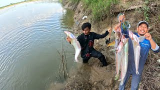 Download lagu 24 JAM MEMANCING IKAN DI SUNGAI ROKAN KIRI DAPAT BERMACAM JENIS IKAN BESAR mp3 Download lagu 24 JAM MEMANCING IKAN DI SUNGAI ROKAN KIRI DAPAT BERMACAM JENIS IKAN BESAR mp3