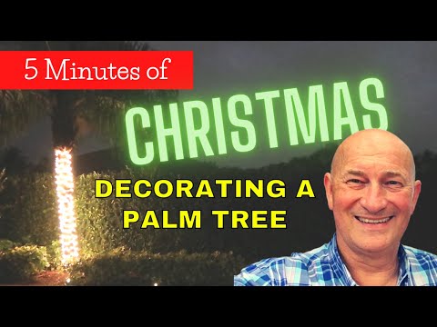 YouTube video about: Why you don t put christmas lights on palm trees?