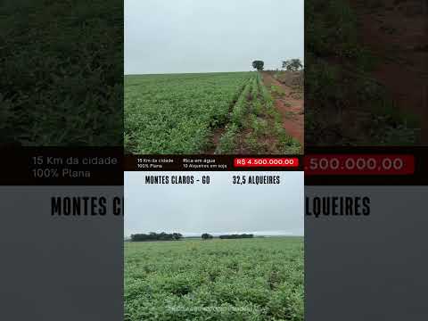 Fazenda em montes Claros de Goiás/ whatsapp 62 99373-6407