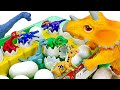 Defeat The Giant Armored Dinosaur That Harasses Dinomecard Tiny Dinosaur DuDuPopTOY