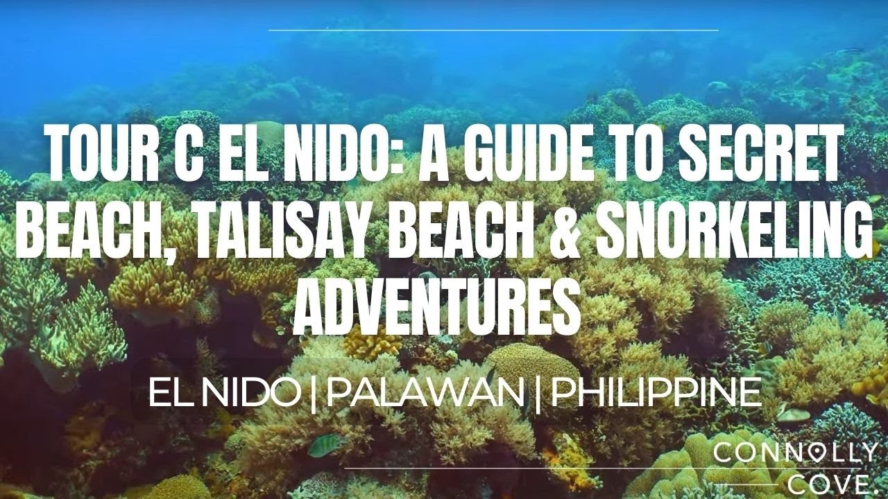 Discover the highlights of Talisay Beach.
