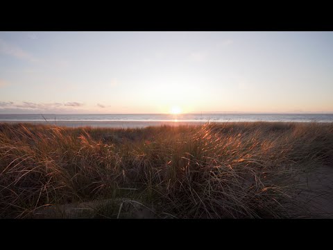 Traumhafte Nordsee: Sonnenuntergang mit Meeresrauschen und Möwen