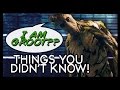 7 Things You Didnt Know (Yet!) about Guardians.