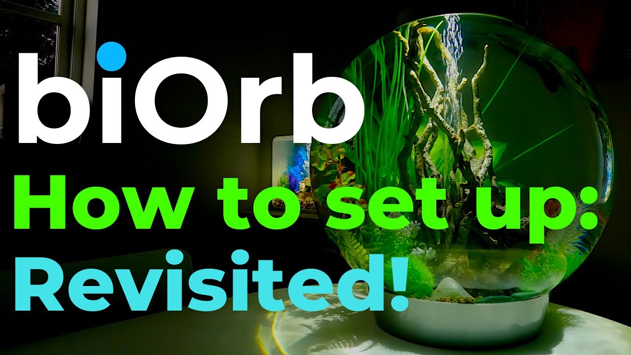 biOrb Aquarium | Setting-up a biOrb from new | New approach!