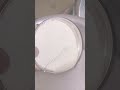 Bhagar Recipe Sama Rice Shorts Youtubeshorts Bhagar Samarice