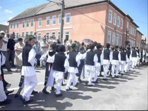 Mircea Petrus Loamnes Terwolde