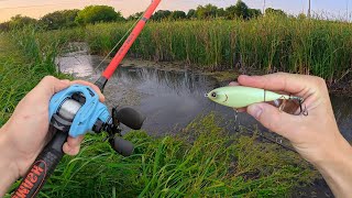 Fishing Private Property For BIG Topwater Bites!
