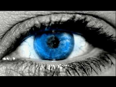 Submission Fight League (SFL) Championship 2012