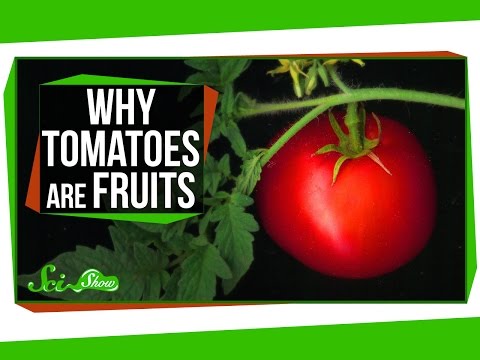 為什麼番茄不是蔬菜，草莓不是莓 (Why Tomatoes Are Fruits, and Strawberries Aren't Berries)