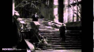 FRANK ZAPPA -- FOUNTAIN OF LOVE