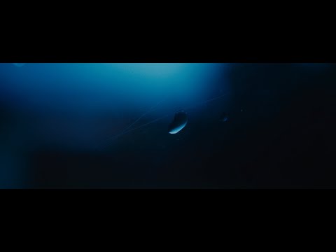 Swerfey - good decision (Official Video)