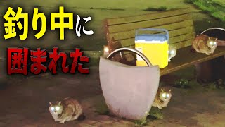 【釣り】野良猫に囲まれて、魚狙われて、、、もう、、、最高　　【アジング】