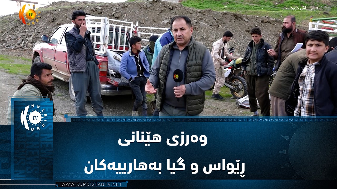 ڤیدیۆ | سیدەکان  ..  وەرزی هێنانی ڕێواس و گیا بەهارییەکان