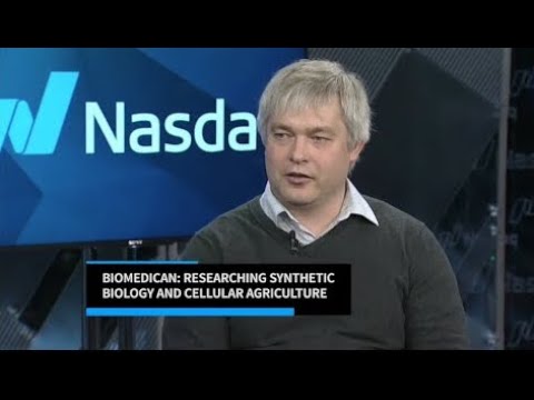 CEO & Founder Max Mikheev | 'Innovators with Jane King' - YouTube