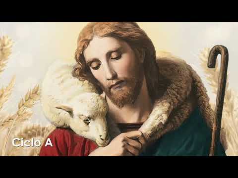 Homilía| Martes, XXX semana del Tiempo Ordinario 27.10.2026| Pbro. Javier Martín FM| 