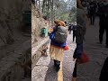 Cute Baby Monkey YoYo Monkey BiBi Monkey Monkey Banana Baby Monkey Best Monkey Moments