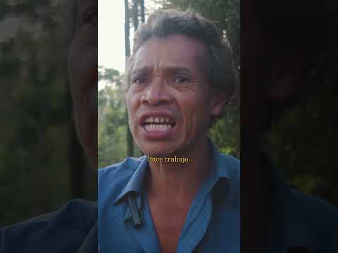 Pueblos Guaranies en Misiones