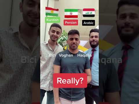 Learn Words in Kurdish, Persian & Arabic through muslim brothers #shorts #language #learning #muslim