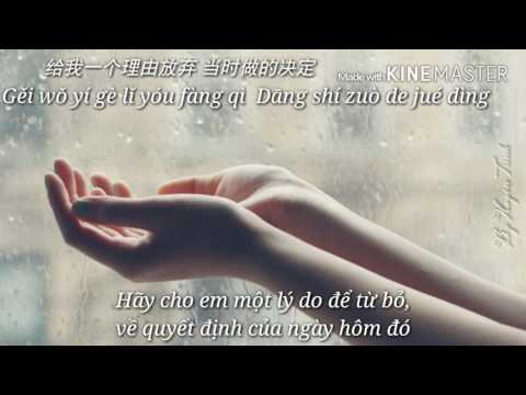 [Vietsub - Pinyin] Cho Em Một Lý Do Để Quên - Huỳnh Lệ Linh (A Lin) | 给我一个理由忘记你 – 黄丽玲