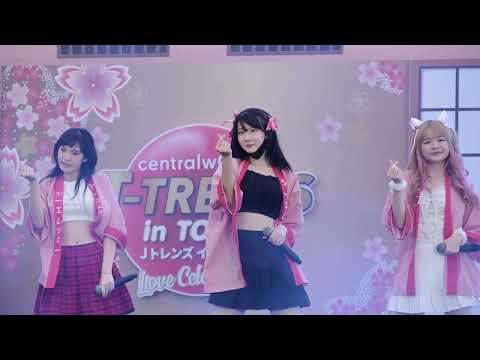 เกินต้าน (CAN'T RESIST) focus neko cmj 19/2/65