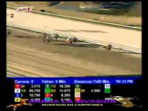 LA RINCONADA 8 CARRERA DOMINGO 01 DE FEBRERO DEL 2015