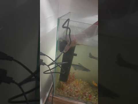 👍🏻UN-BOXING SOBO AQUARIUM FILTER PUMP WP-3000F👍🏻From Amazon Rs ₹508