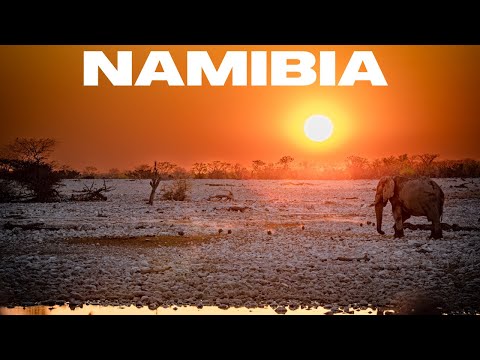 NAMIBIA  |  AN OVERLANDING ADVENTURE  | EPISODE 3 | ETOSHA NATIONAL PARK