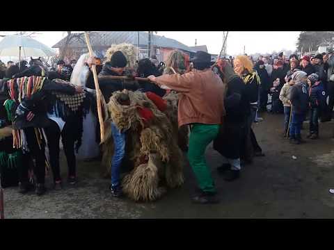 mascati tacuta  2017 ep2