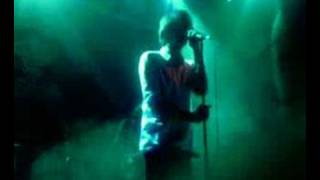 Phoenix - Sometimes in the Fall