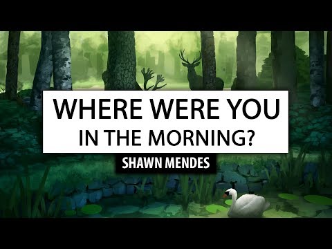 Shawn Mendes