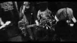 The Vipers - Death Rattle