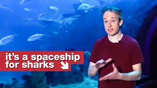 It's like a spaceship for sharks.