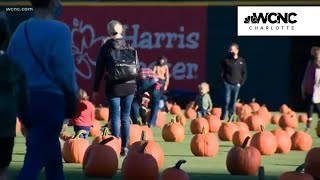 Charlotte Knights prepare to transform ballpark into pumpkin patch