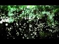 Linkin Park VS Pendulum - Blackout The Vulture ...