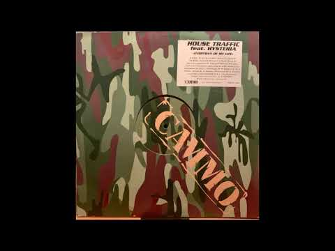 house traffic feat  hysteria everyday of my life radio flute