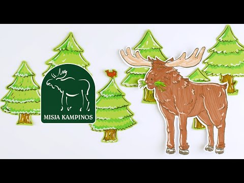 Poznaj markę lokalną Misja Kampinos!