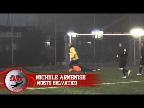 THE BEST SAVE DICEMBRE 2015 - Michele Armenise (MOSTO SELVATICO)