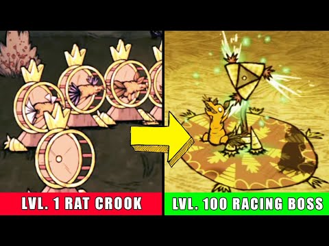 CARRATS! - Training/Racing