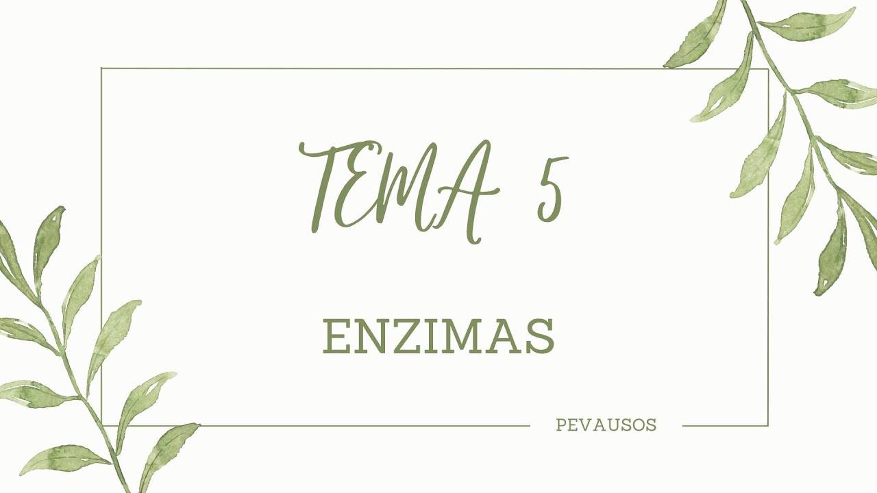 BIOLOGÍA SELECTIVIDAD. ENZIMAS